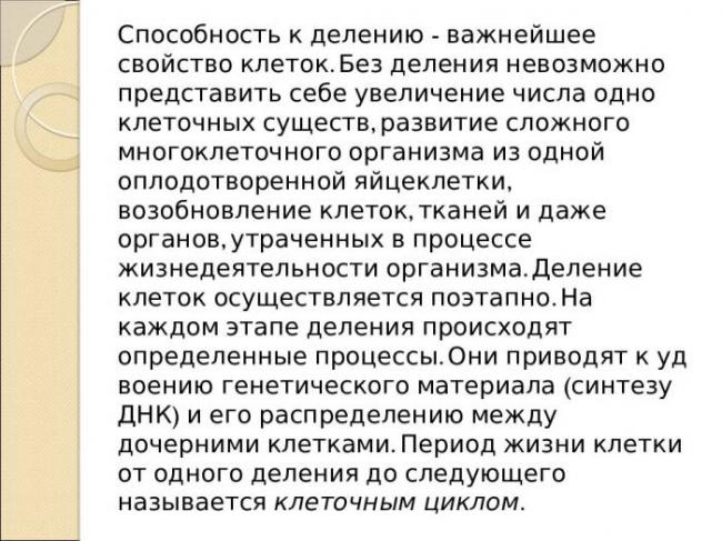 Бактерии