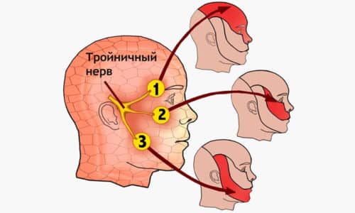 Зептол инструкция по применению цена отзывы аналоги