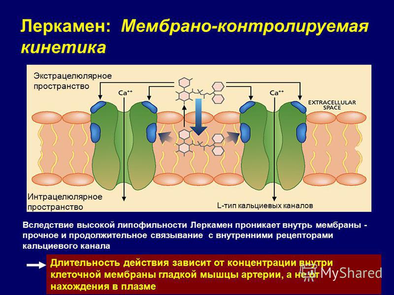 Леркамен 20 мг - инструкция по применению