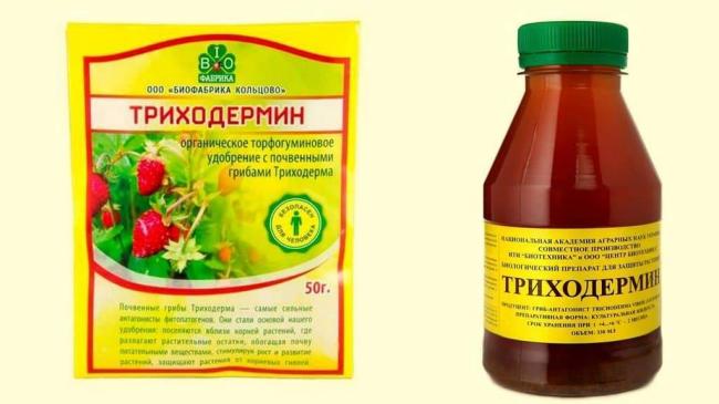 Триходермин инструкция по применению отзывы когда обрабатывать