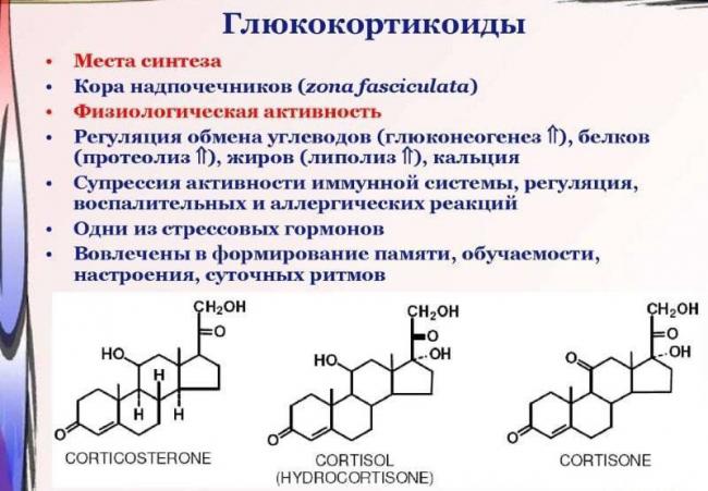Плюсы и минусы гормонального лечения астмы