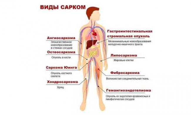 Доксорубицин-эбеве (doxorubicin-ebewe) инструкция по применению