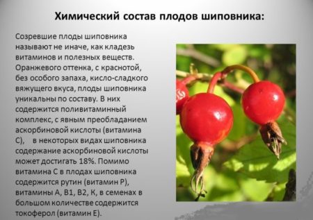 Холосас