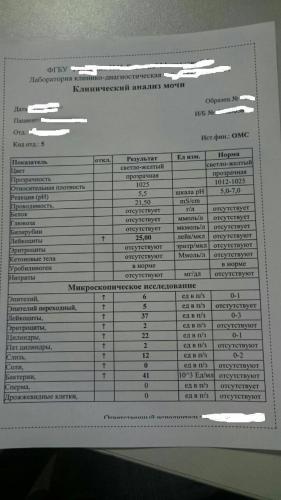 Небольшое кол-во бактерий в моче