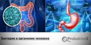 Симбиоз