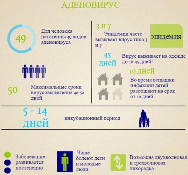 Аденовирусная инфекция: какие симптомы отмечаются у детей, методы лечения и профилактики.