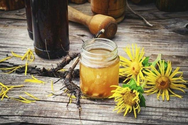 Рецепты с корнем девясила для лечения кашля у детей и взрослых
