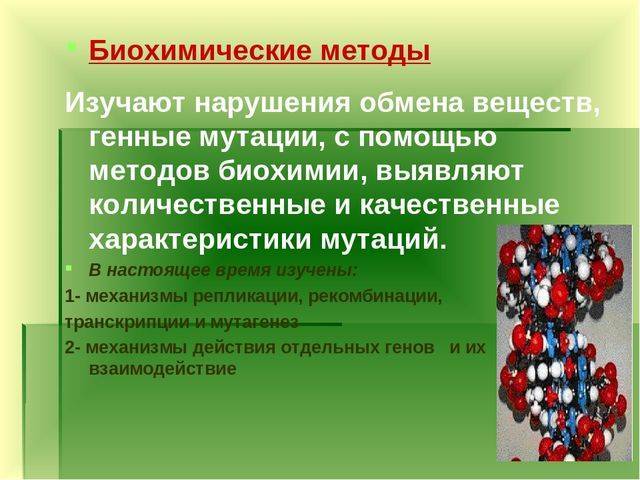 Бактерии-прокариоты – живые «кирпичики» эволюции