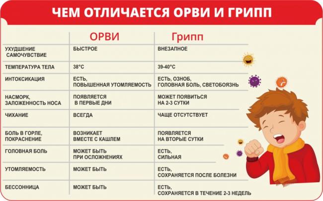 Таблетки от гайморита синупрет цена