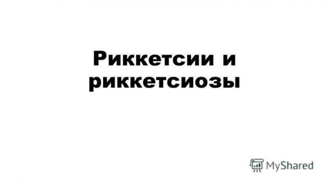 Риккетсиоз клещевой у человека: симптомы и возбудители болезни — симптомы