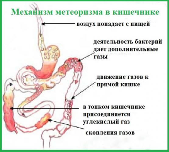 Диосмин - инструкция по применению