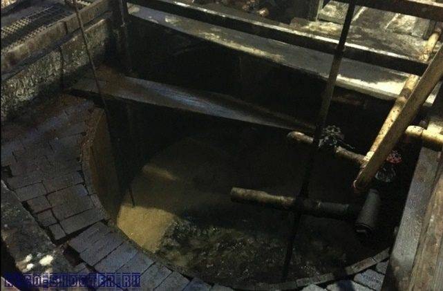Любители тепла – термофильные свободноживущие бактерии