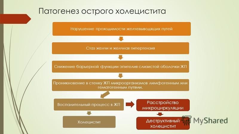 Глава 01. общая нозология