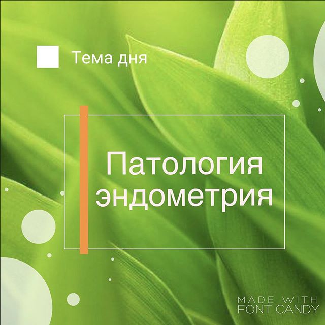 Слизистая оболочка матки - endometrium - qwe.wiki