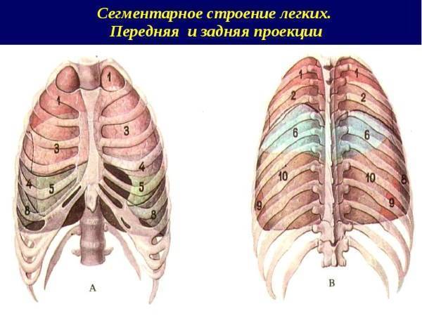 Пневмония без температуры, но с кашлем