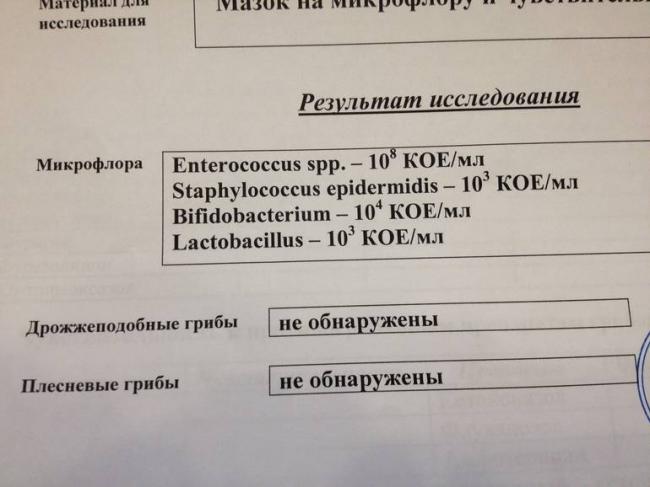 Чем вредна условно-патогенная флора и можно ли от нее избавиться