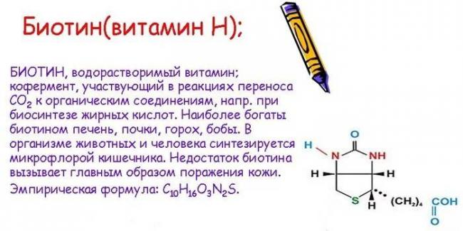 Биотин для волос: препарат от выпадения, перхоти и тусклости