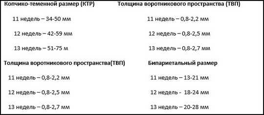 Скрининг первого триместра при беременности – результаты, нормы и отклонения