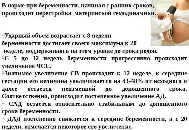 Препараты от тахикардии при нормальном давлении и учащенном пульсе