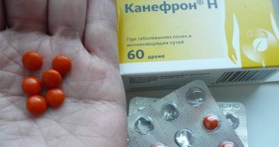 Канефрон для собак инструкция по применению