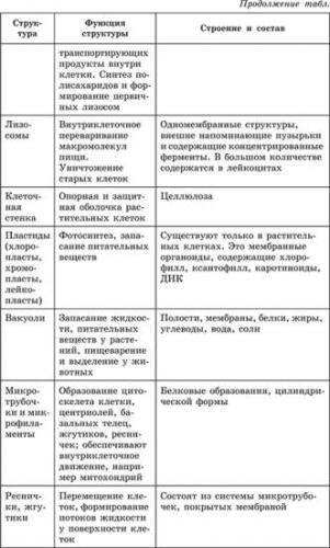 Изучаем родословную бактерий: это животные или растения?