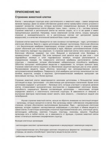 Клетка