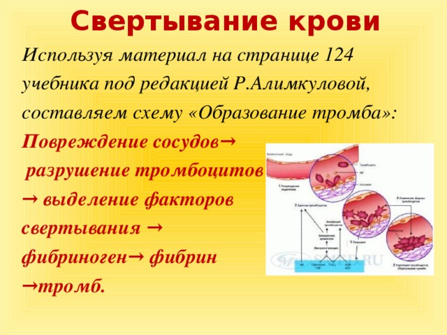 Эти загадочные тромбоциты: казнить нельзя помиловать. - 16 ноября 2011 - персональный сайт