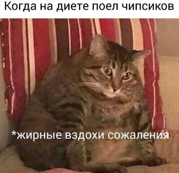 Примерное меню на неделю при макриобиотическом питании