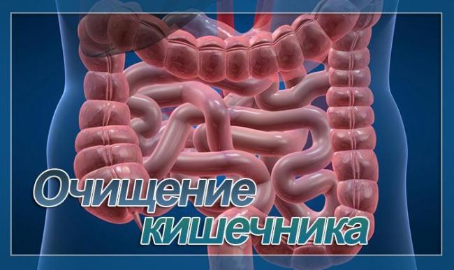 Диета для очищения печени в домашних условиях: чистка печени в 6 шагов