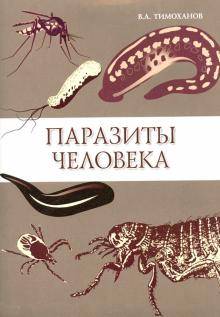 Какое увеличение нужно чтобы увидеть микробы