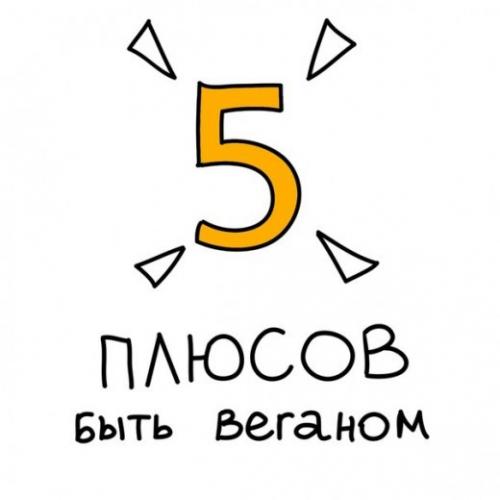 Проект "вегетарианство-за и против."