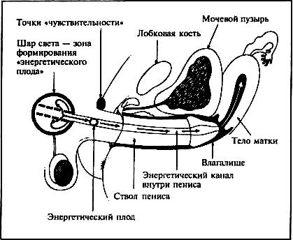 Преждевременное семяизвержение