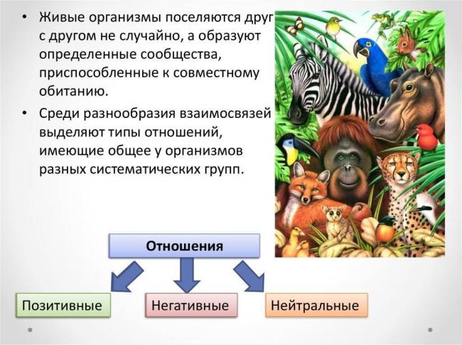 Где обитает большинство бактерий: самые популярные места