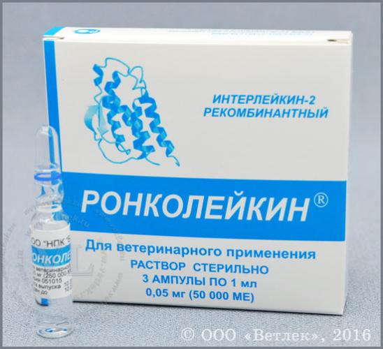 Ронколейкин: инструкция по применению, цена и отзывы