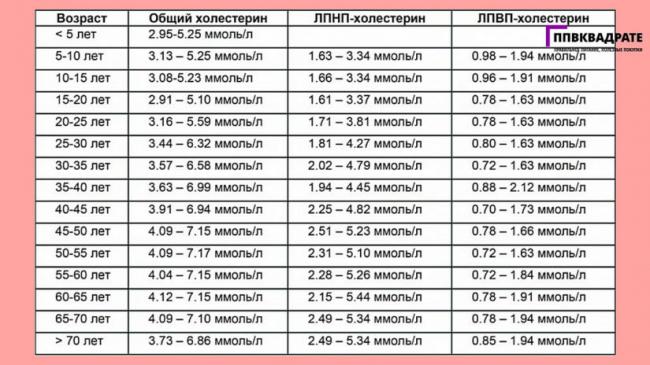 6 продуктов, снижающих холестерин. диета при высоком холестерине