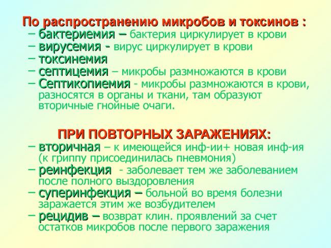 Парвовирусная инфекция: заражение, формы, симптомы, лечение