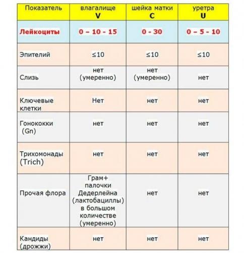 Значение выявления бактерий в мазках различной локализации