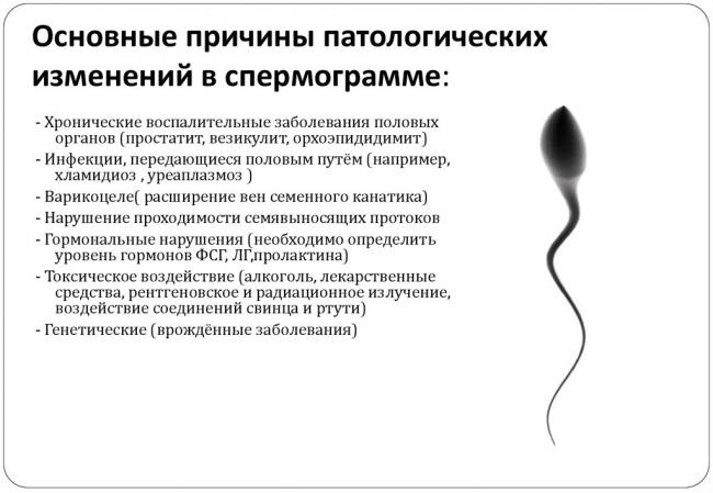 Спермограмма после операции варикоцеле