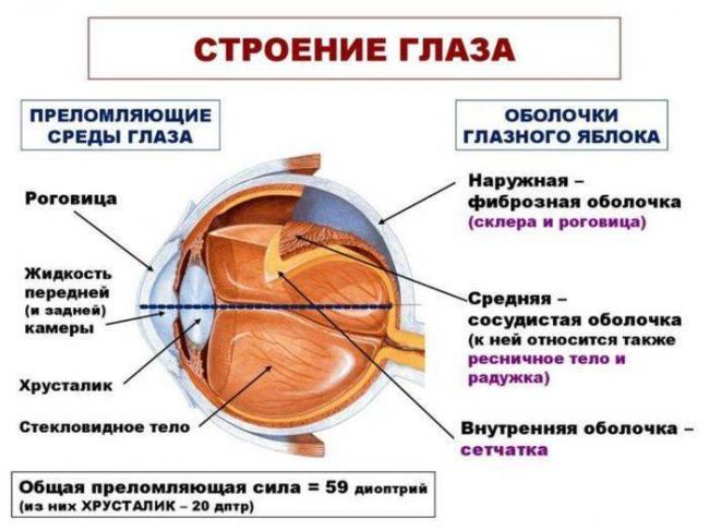 Перечень ограничений после лазерной коррекции зрения