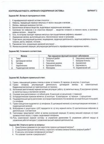 Презентация на тему: "нервная система обеспечивает согласованную работу всех органов и систем организма осуществляет ориентацию организма во внешней среде и приспособительные.". скачать бесплатно и без регистрации.