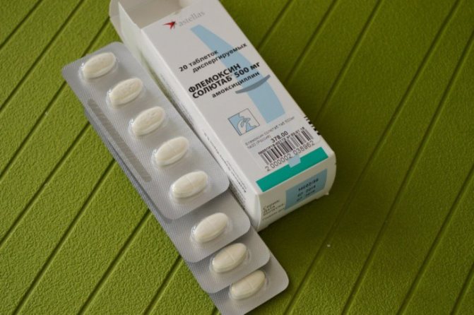 Флемоксин солютаб при бронхите. my-doktor.ru