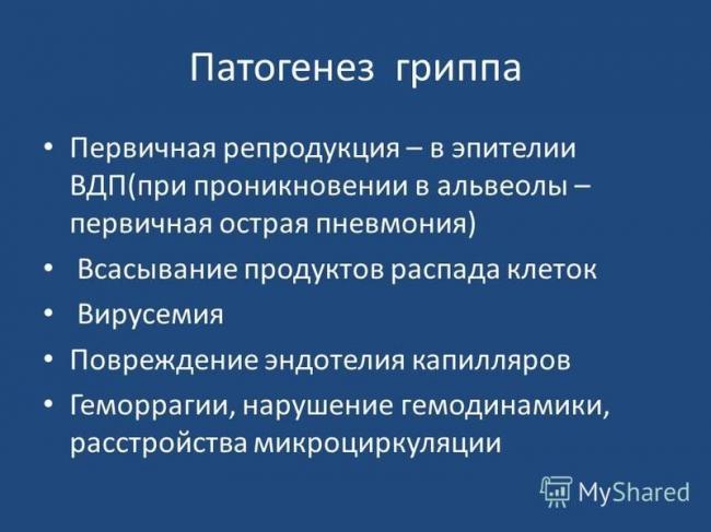Новые коронавирусы: человечеству придёт конец?
