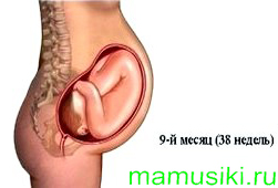 Девятый месяц беременности