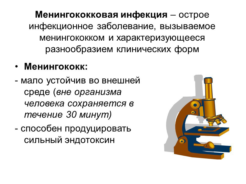 Менингококковая инфекция - симптомы болезни, профилактика и лечение менингококковой инфекции, причины заболевания и его диагностика на eurolab