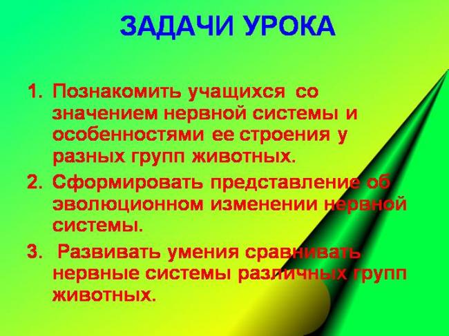 Значение, строение и функционирование нервной системы