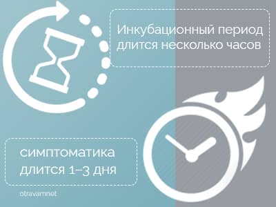 Пищевая токсикоинфекция