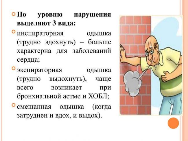 Механизм развития, симптомы и лечение бронхиальной астмы физического усилия