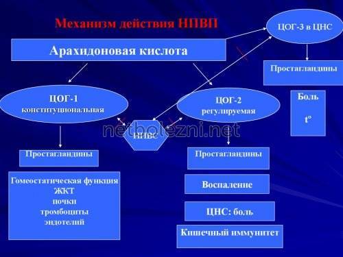 Лонгидаза лиофилизат - официальная инструкция по применению