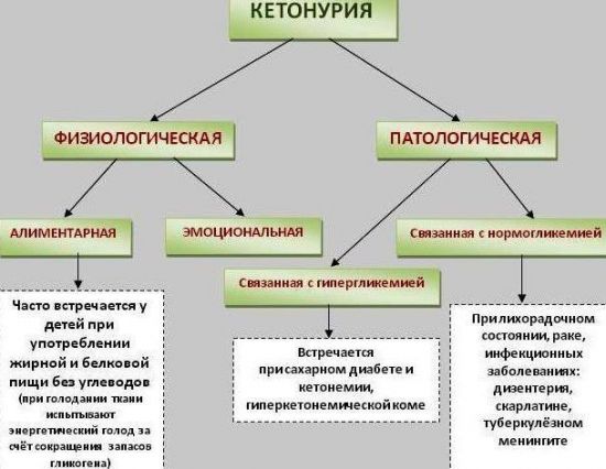 Ацетон в моче у ребенка: причины, симптомы, лечение