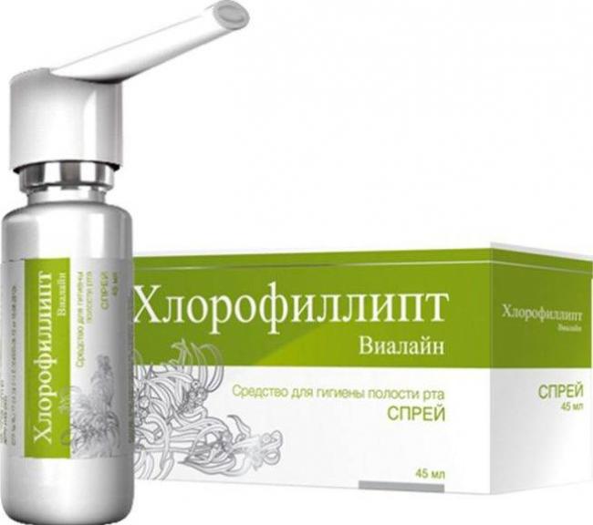 Хлорофиллипт показания, инструкция по применению для полоскания горла
